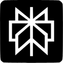 Perplexity logo